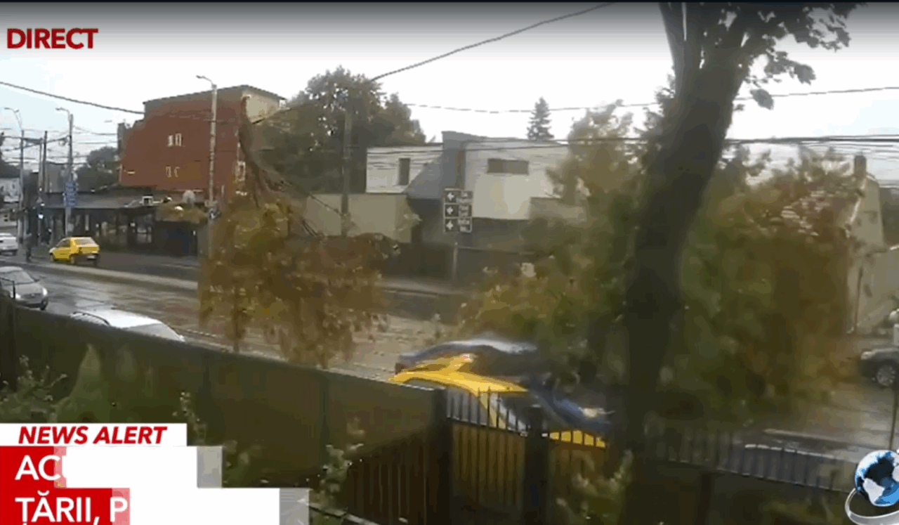 Imagini APOCALIPTICE în București. Momentul în care un copac uriaș cade pe o mașină în mers