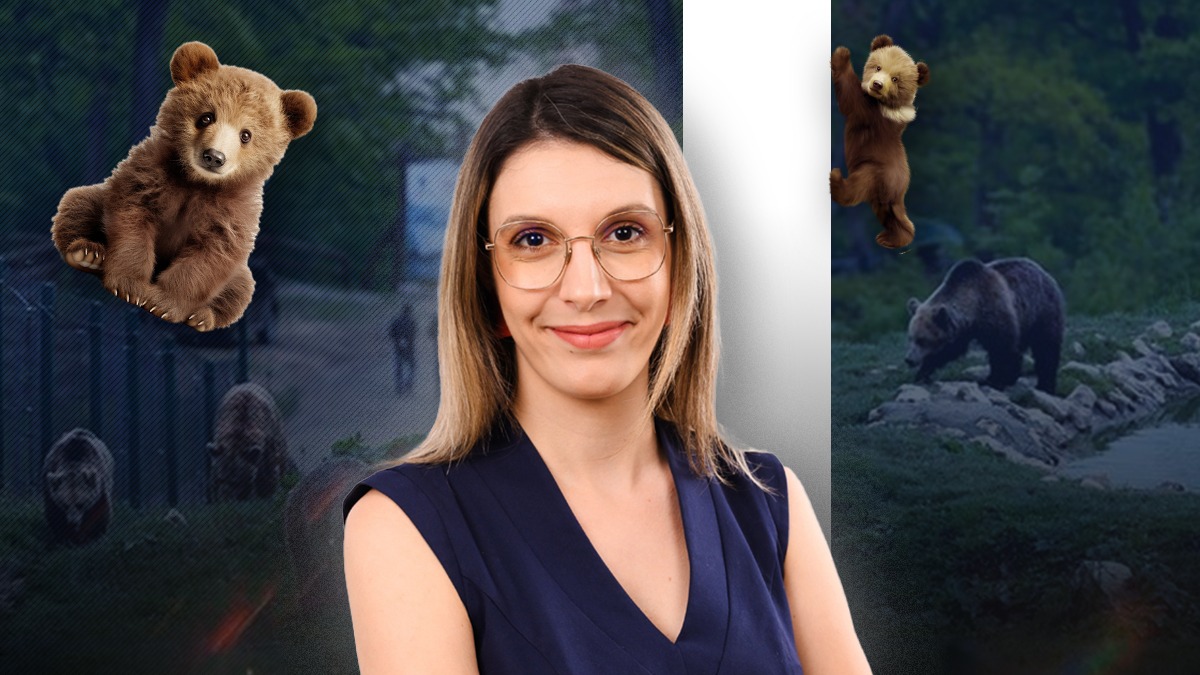 Diana Buzoianu în vizită la CASA de CORECȚIE pentru Urși de la Brașov. Când va fi finalizat noul sanctuar pentru fiarele problemă