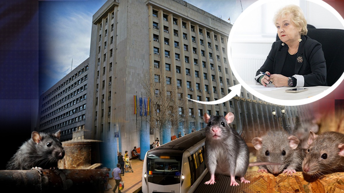 Din Palat, în subteran. Se caută birouri pentru conducerea Metrorex, în stații: „Doamna directoare Miclăuș o să lucreze și dânsa cu șobolanii”