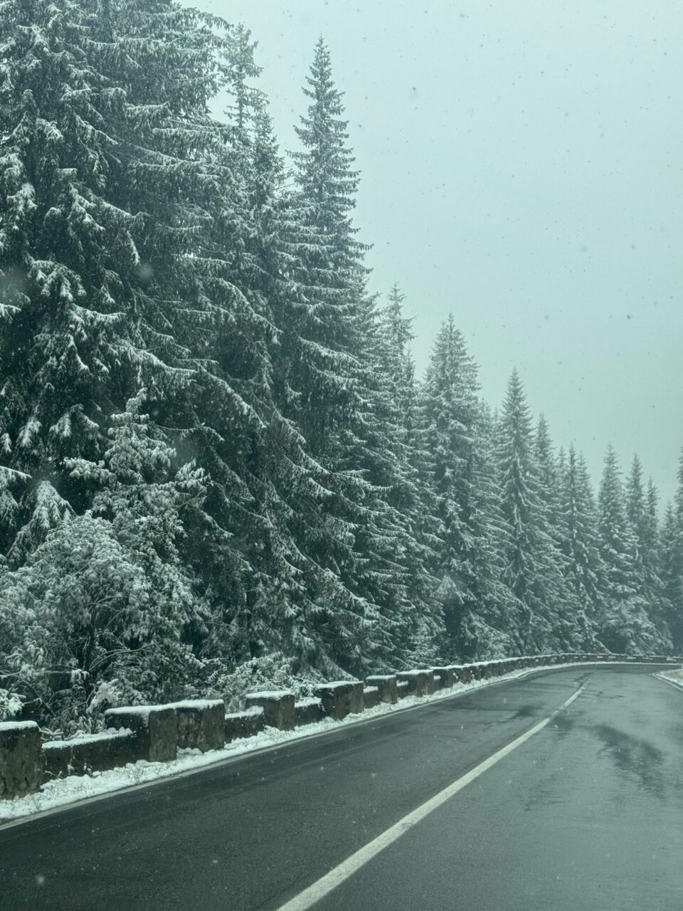 După un weekend cu temperaturi de primăvară, ploile și ninsorile revin în țară. Elena Mateescu, director ANM, ne spune cum va fi vremea