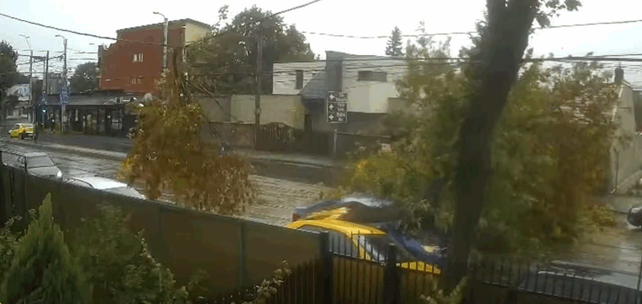 Momentul în care un copac cade pe o mașină aflată în mișcare. Vremea de azi a făcut prăpăd în București