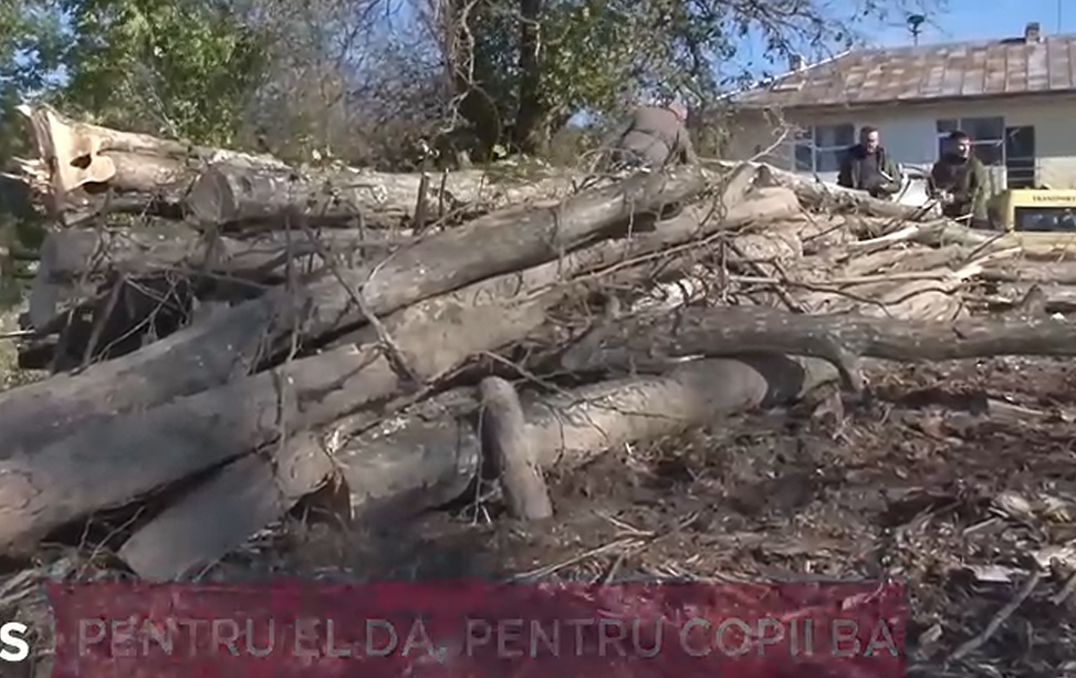 Gestul scandalos al unui primar din Iași: și-ar fi însușit el o parte din lemnele cumpărate din bani publici pentru încălzirea grădiniței