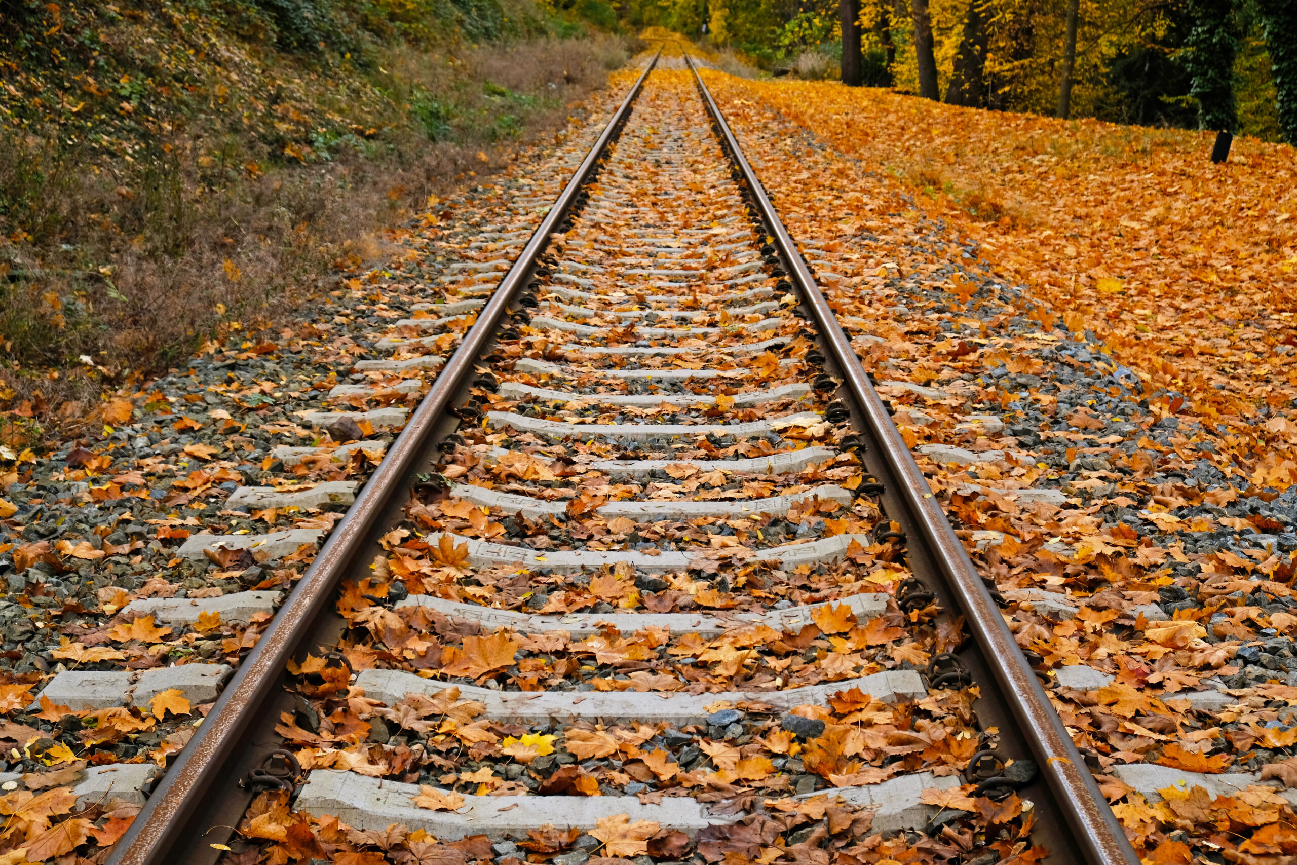 Tragedie în Iași: Femeie lovită de tren la Ruginoasa