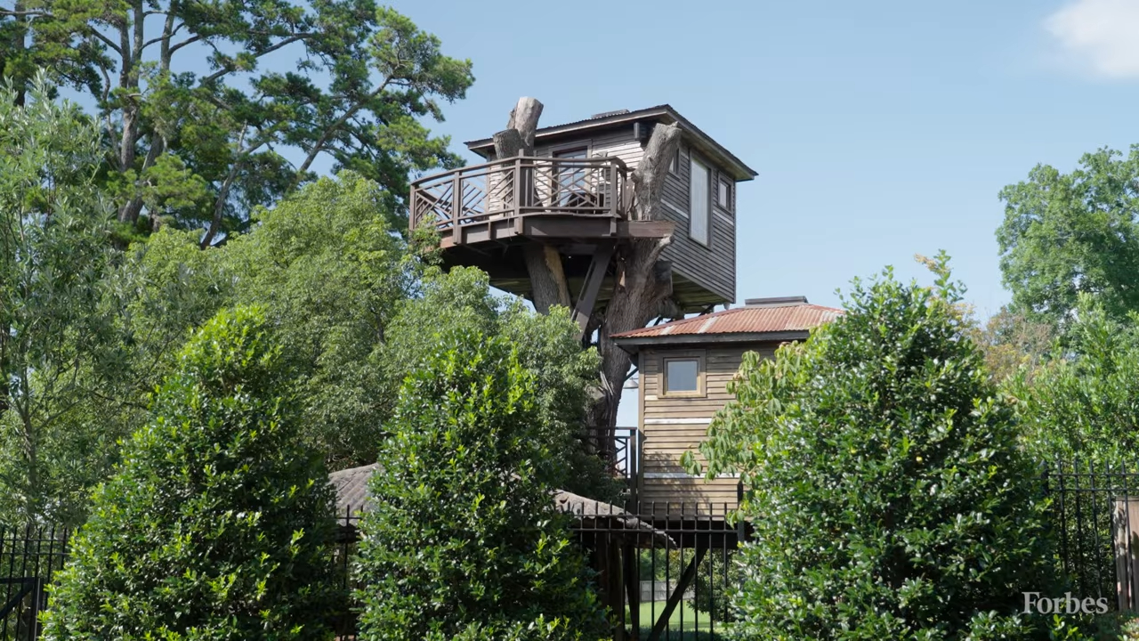 Miliardarul care și-a construit o casă în copac în valoare de 400.000 de euro. Are trei etaje, bar și vitralii