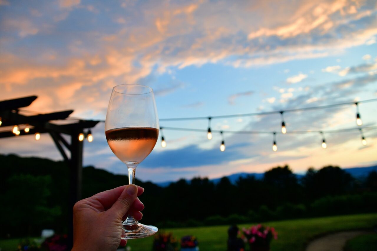 De ce sunt vinurile portugheze atât de populare. Recoltarea pe timp de noapte – ingredientul secret. Cum modifică asta gustul și calitatea vinului