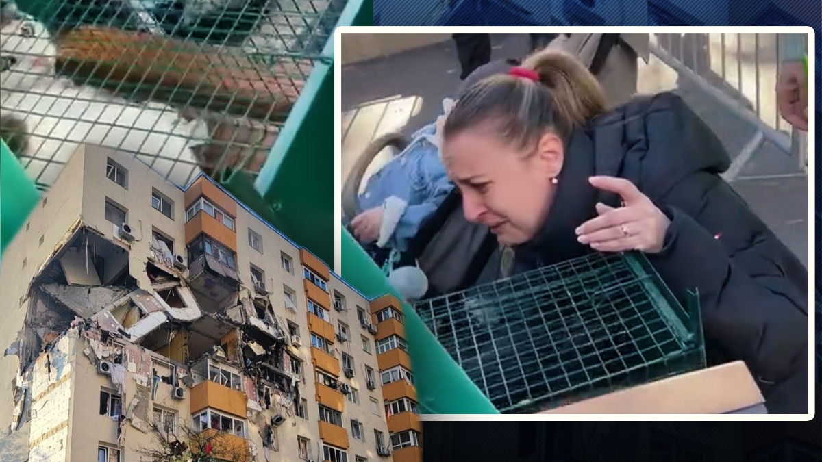 Moment extrem de emoționant la blocul care a explodat. Lacrimi de bucurie pentru o stăpână care își găsește MOTANUL pierdut în ziua deflagrației