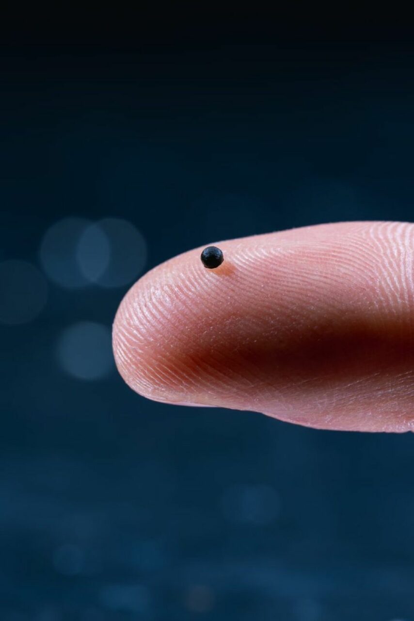 Oamenii de știință au creat un robot de mărimea unui bob de nisip. Controlat de magneți, poate transporta cu precizie medicamentele în corp