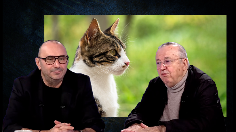 Ion Cristoiu: „Am luat o pisicuță de milă, în scurt timp a devenit stăpâna casei. Este USR-ISTĂ clar”