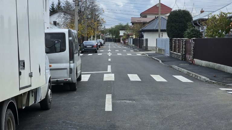 Orașul din România invadată de zebre. 11 treceri de pietoni trasate pe 260 de metri