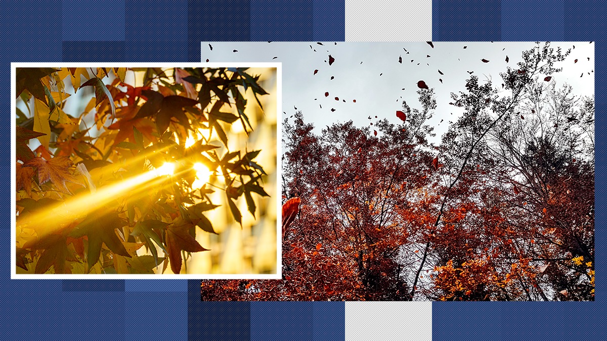 Vreme mai caldă decât ar fi normal în această perioadă, dar nu scăpăm de vânt. ANM, pentru Gândul: „Încălzire semnificativă”