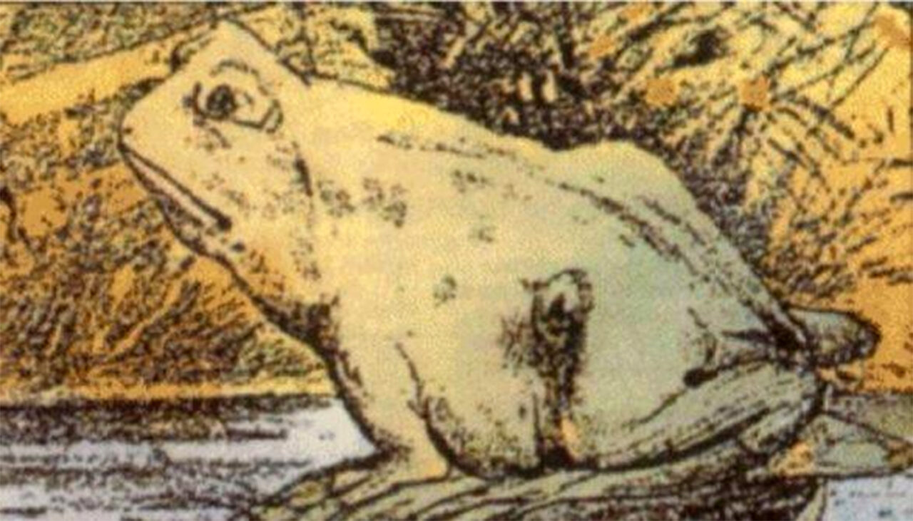 Iluzie optică virală | Ești un geniu dacă răspunzi corect: Ce este al doilea animal din această imagine?