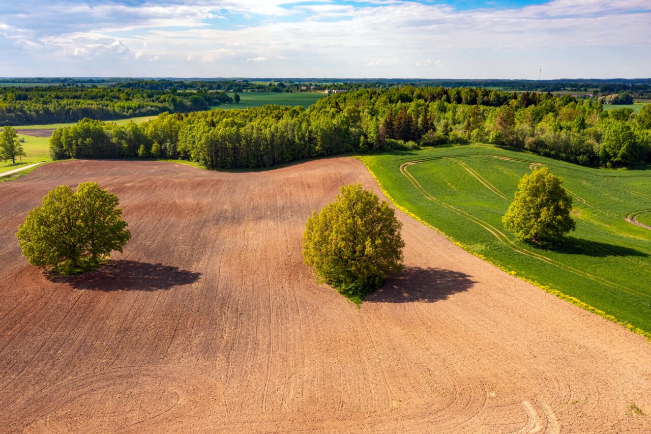 Cum pot intra legal în posesia terenului proprietarii care dețin mai mult pământ decât figurează în acte