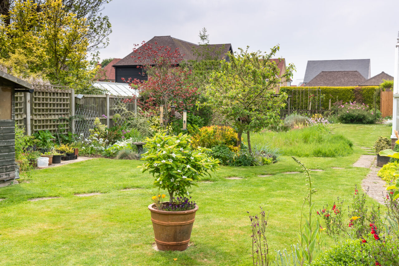 Lege pentru românii care stau la curte. Ce riscă proprietarii care nu respectă linia de hotar