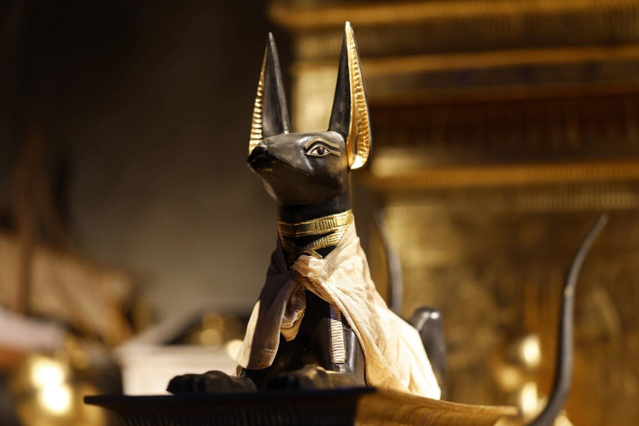 Anubis era un zeu al mumificării și al vieții de apoi. Reprezentat sub forma unui șacal antropomorfizat, Anubis supraveghea mumificarea, cântărea sufletele, ghida morții în viața de apoi, îi apăra împotriva haosului 