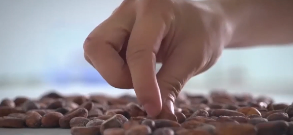 Scumpirea boabelor de CAFEA afectează piața dulciurilor: Ciocolată a început să fie subțiată sau înlocuită cu diverse creme de fructe