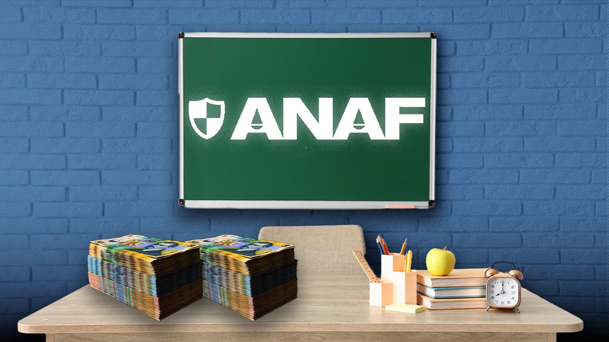 De ce eșuează ANAF de ani de zile să bage meditațiile în legalitate. EVAZIUNEA fiscală a depășit 350 milioane de euro. Doar 3% dintre profesori declară venituri din meditații