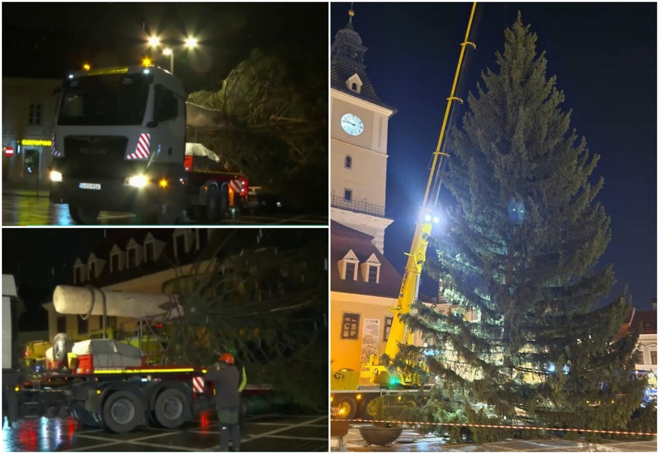 Cel mai mare brad de Crăciun va fi împodobit în Brașov. Pomul înalt de 31 de metri a fost montat, deja, în centrul istoric