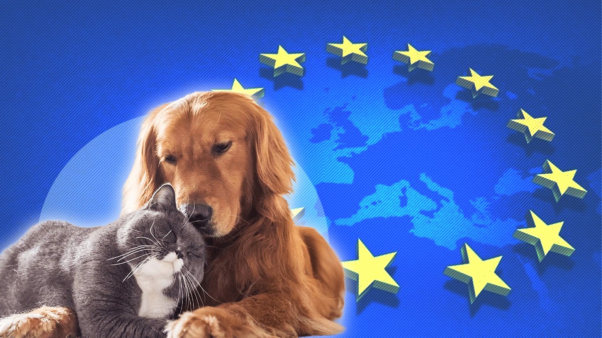Uniunea Europeană impune reguli noi pentru proprietarii animalelor de companie. Ce măsuri devin obligatorii