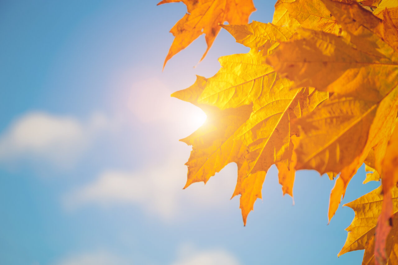 Vremea de azi, 2 noiembrie. Temperaturi în scădere, în majoritatea regiunilor. Maxime de 20 de grade în București