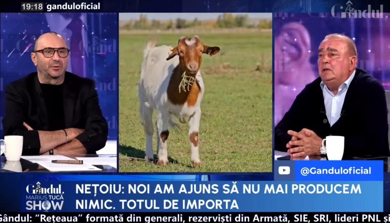 România, grânarul Europei, poate hrăni 100 de milioane de oameni. Ce spune Gigi Nețoiu, investitor în agricultură