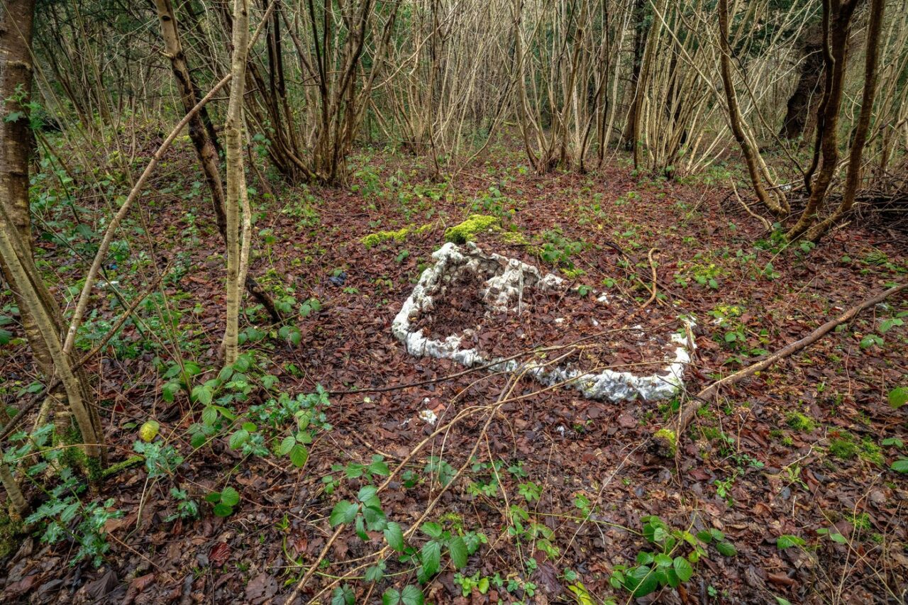Descoperire macabră lângă Bârlad. Fragmente osoase și un craniu uman au fost găsite într-o pădure