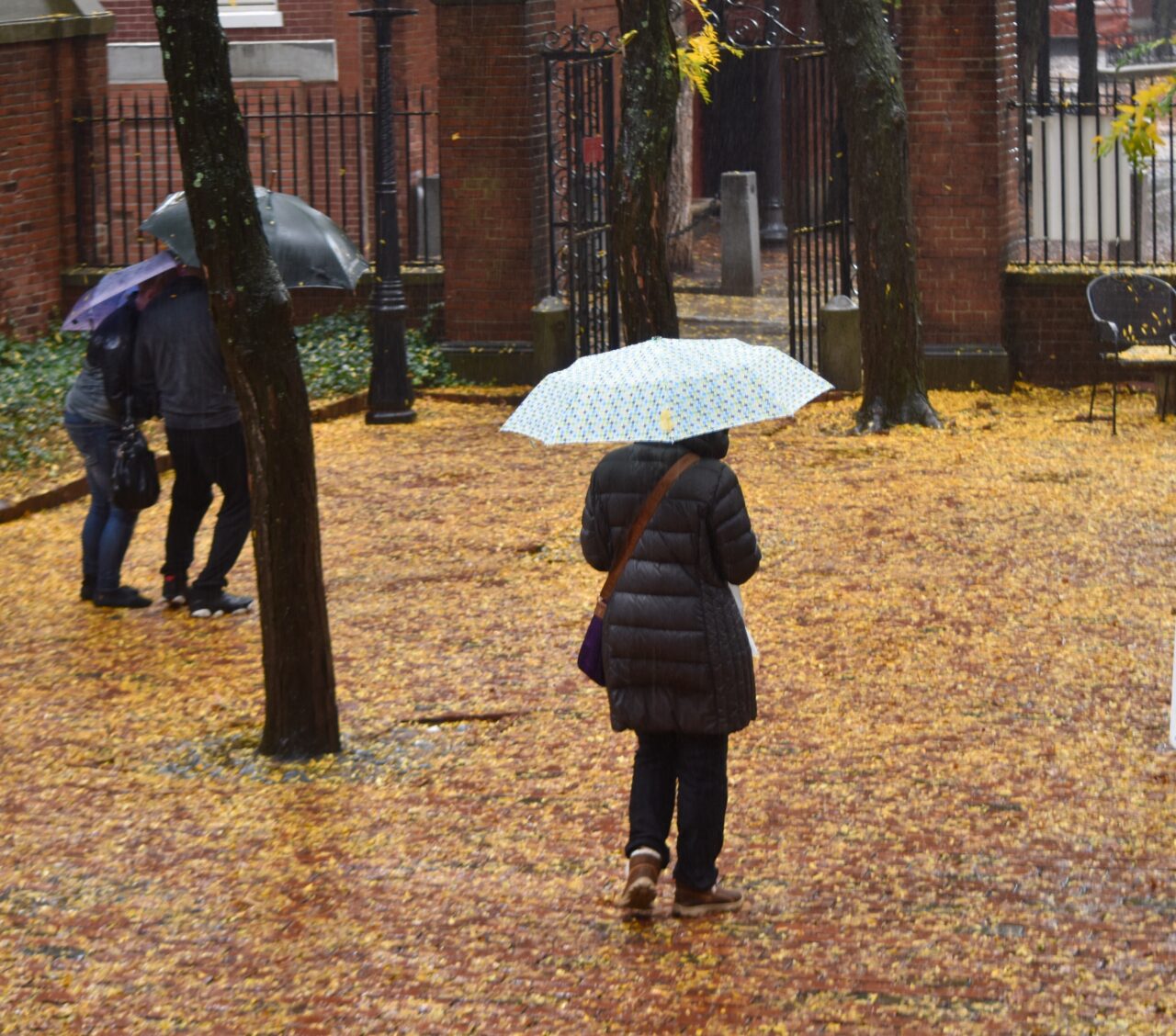 Ploi importante cantitativ, precipitații sub formă de lapoviță și ninsoare, intensificări ale vântului și răcire a vremii până pe 30 noiembrie 2025