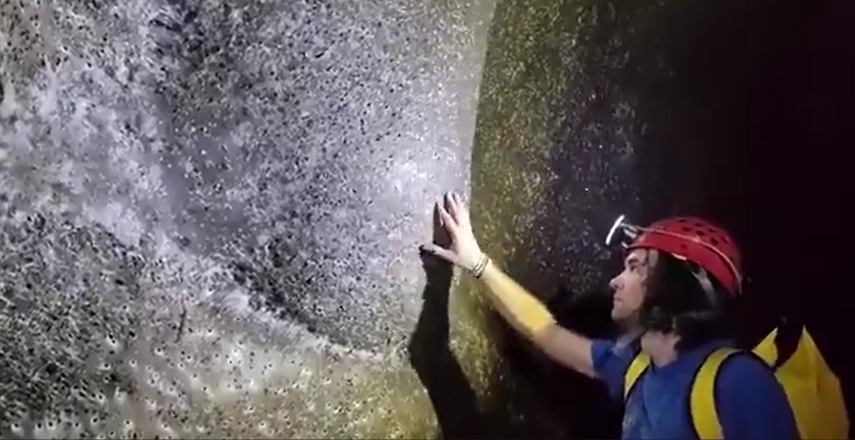 Cea mai mare pânză de păianjen din lume descoperită în România