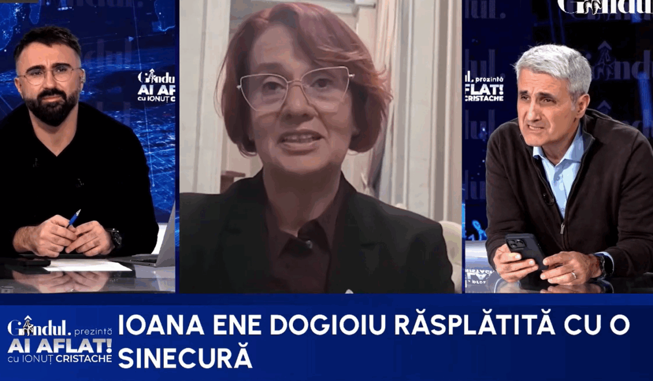 Robert Turcescu o contrează pe Dogioiu pe definiția sinecurii: „Este exact definiția sinecurii ce se întâmplă cu doamna Dogioiu”