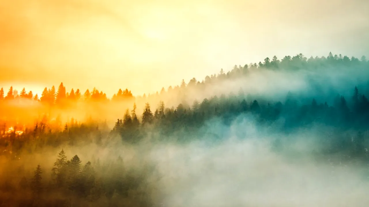 Cum va fi vremea în noiembrie. Meteorologii au anunțat temperaturi peste medie și primele ninsori în zonele joase