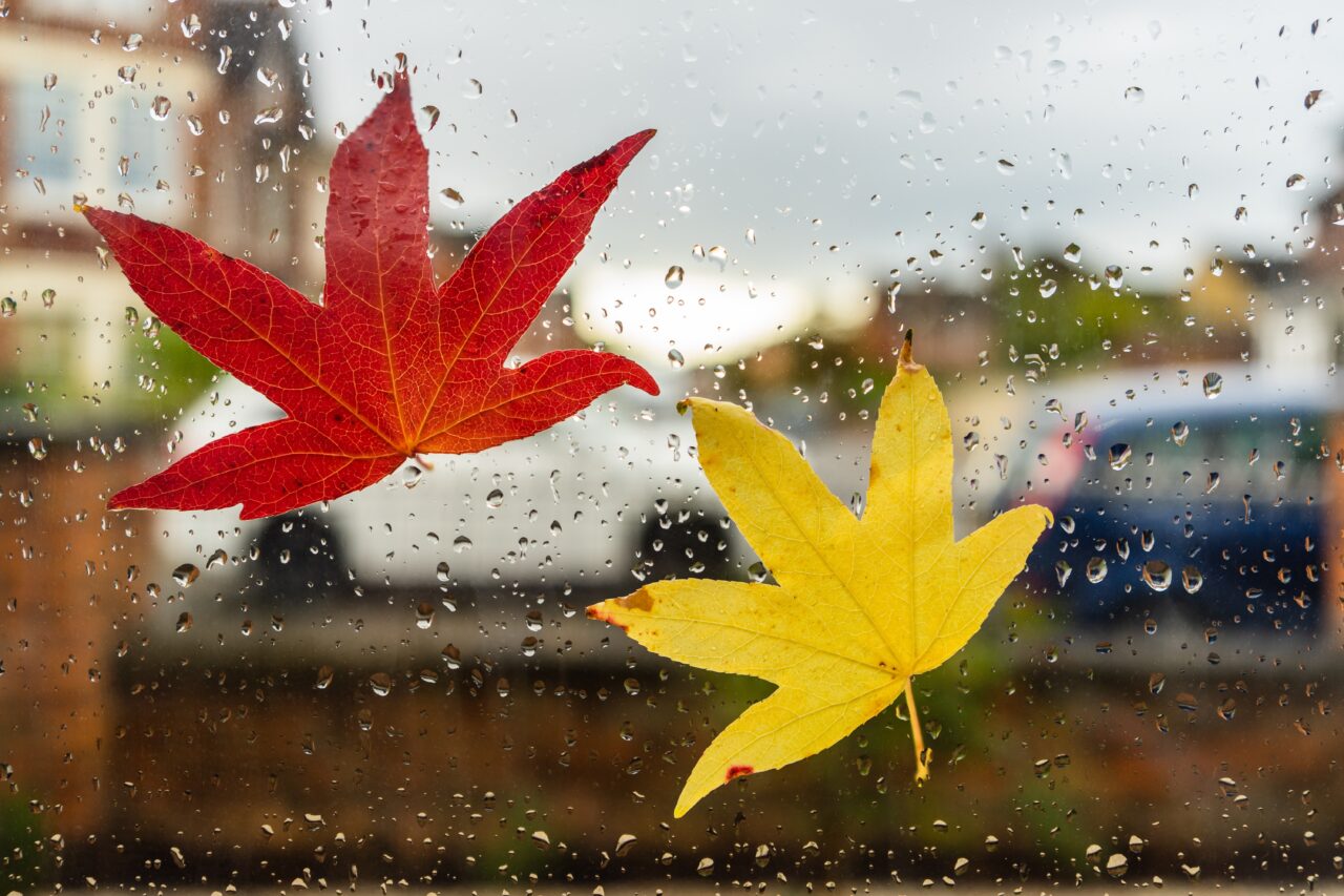 Vremea pe o lună. Estimările meteorologilor ANM până pe 1 decembrie 2025