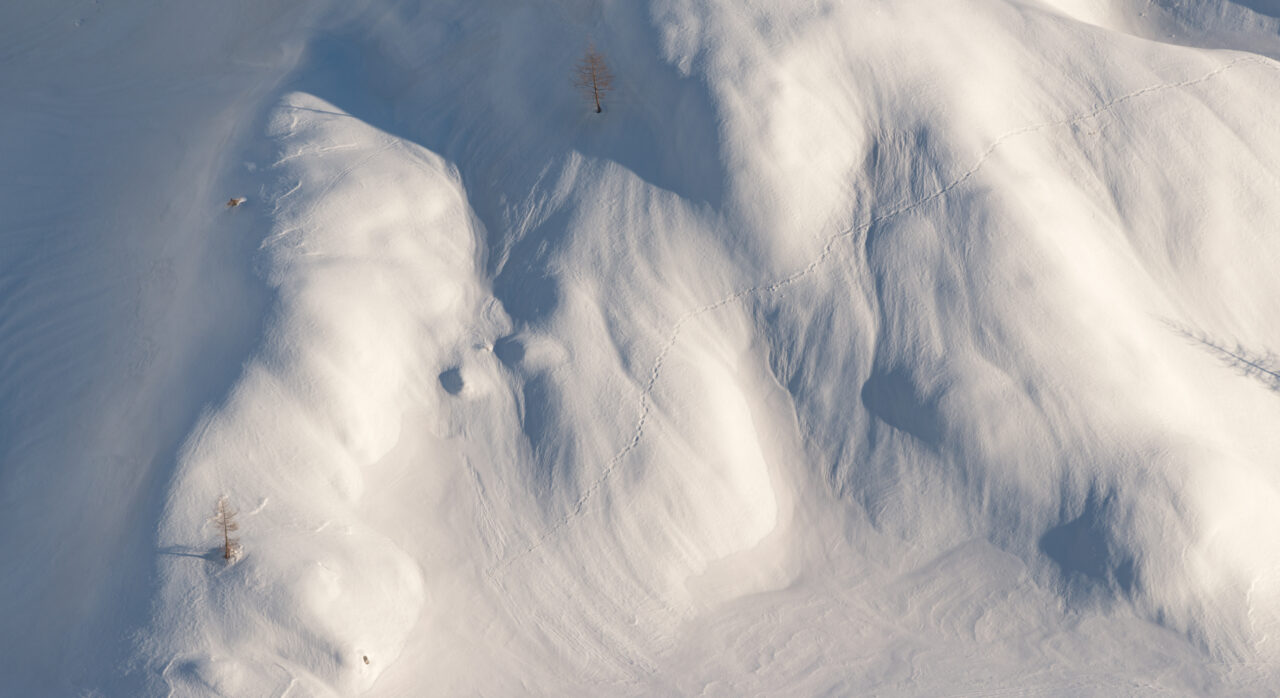 foto ilustrativa: sursa foto: Envato