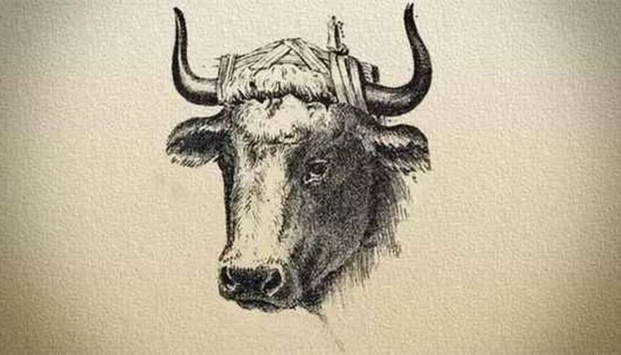 Iluzie optică virală | Ești un geniu dacă poți depista chipul bărbatului ascuns în această fotografie, în maximum 15 secunde