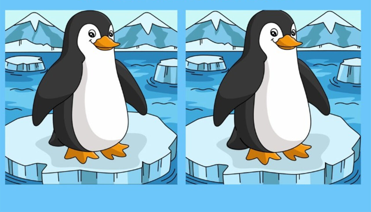 Test de perspicacitate | Acești doi pinguini par identici, dar nu sunt. Găsiți toate cele 3 diferențe