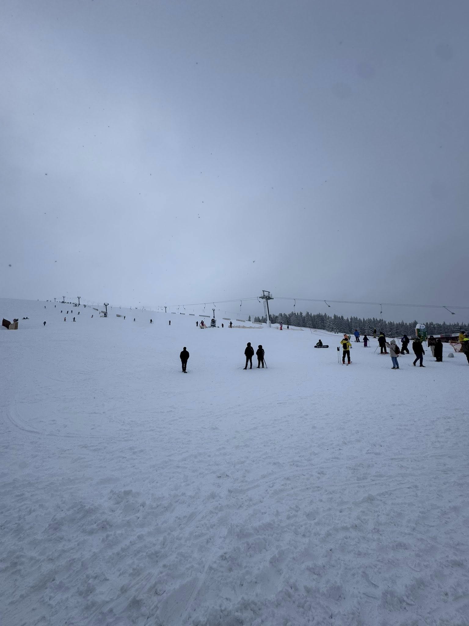 Crăciun cu zăpadă în România. Incidente în Capitală și peisaje de poveste în stațiuni