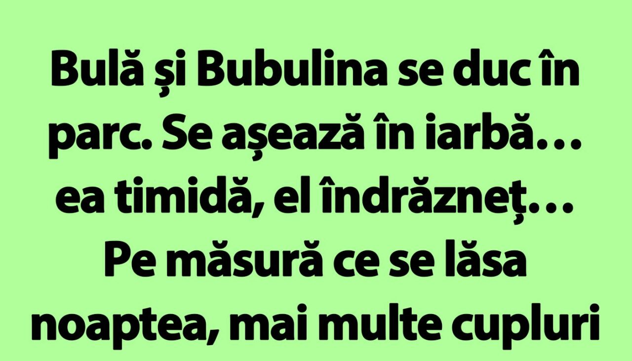Banc | Bulă, Bubulina și date-ul nocturn din parc