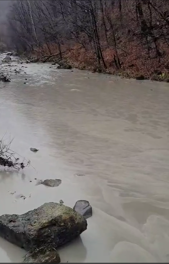 Apa plină de mâl din Barajul Paltinul FOTO/Caption: Apele Române