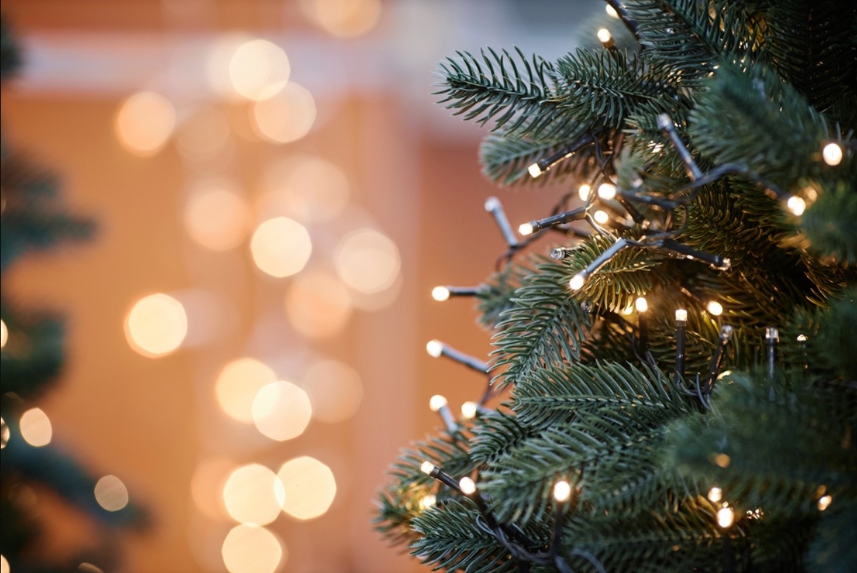 Pericolul care se ascunde în spatele instalațiilor pentru bradul de Crăciun. Sfaturile experților