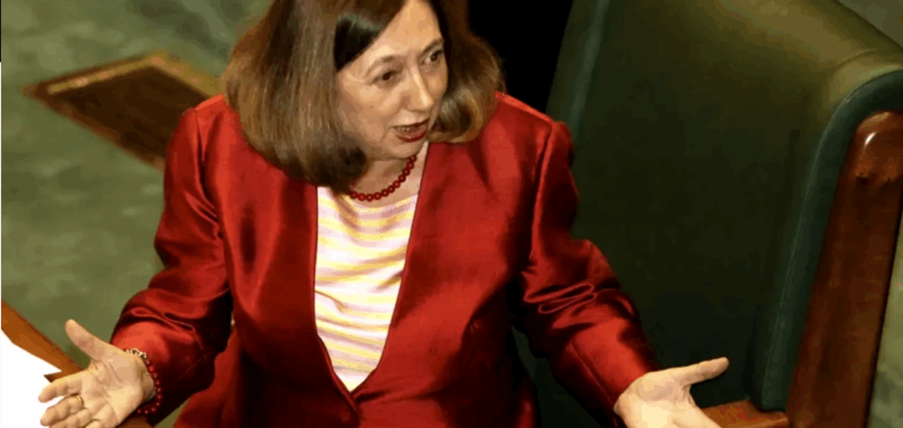 Percheziții la casa Rodicăi Stănoiu. Procurorii au ridicat telefonul și alte bunuri, în ancheta de acces ilegal la informații și moarte suspectă