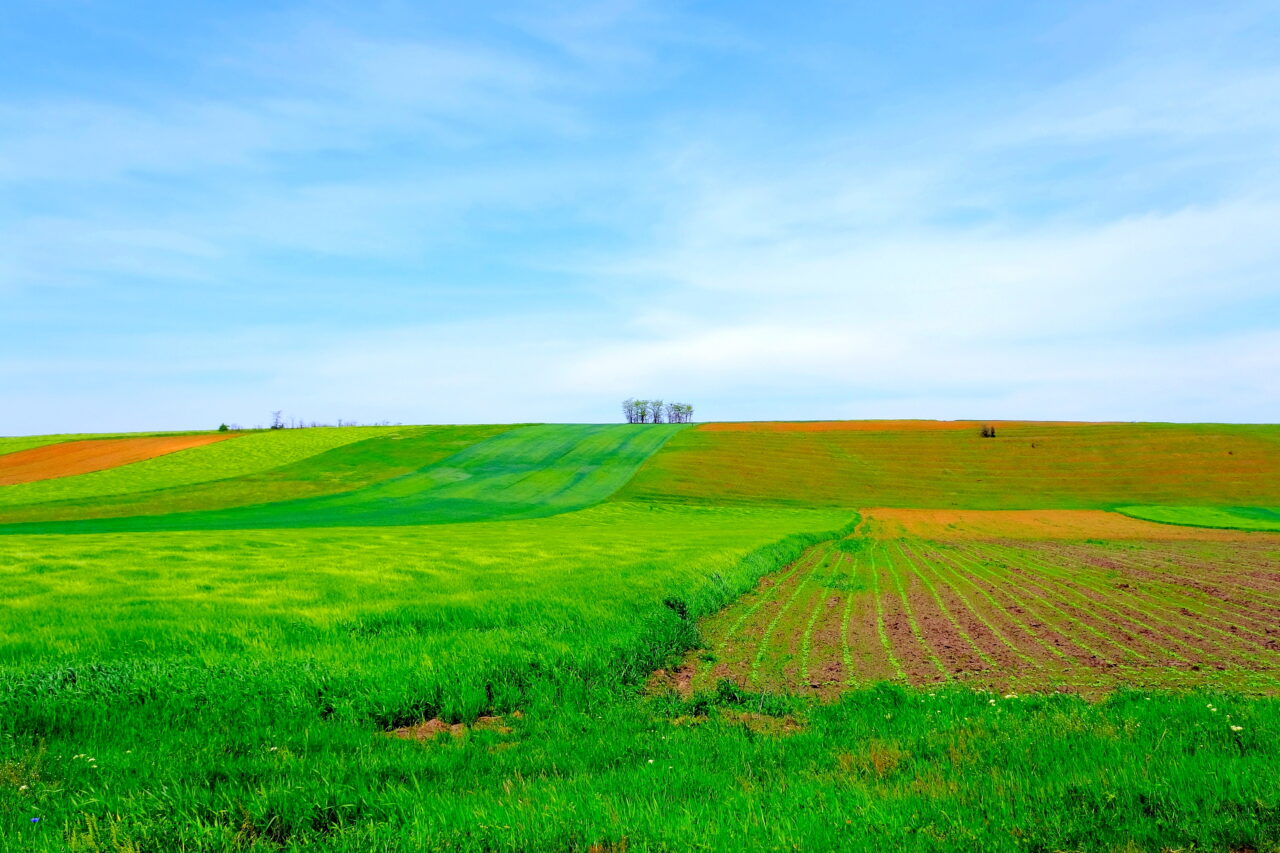 Cât plătești pentru un teren arabil în România și ce prețuri sunt practicate în alte state ale Uniunii Europene, potrivit INS