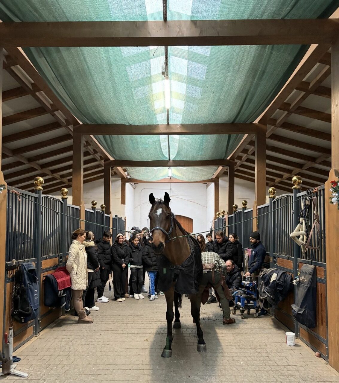 România GĂZDUIEȘTE un Campionat European la anul. „Schimbă destine”