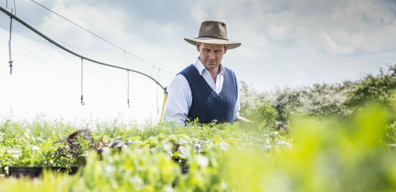 Parlamentul aprobă norme mai simple și un sprijin mai mare pentru fermieri