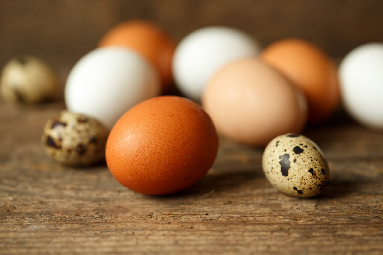 România ar putea exporta ouă în Israel. O delegație sanitară israeliană a vizitat țara noastră