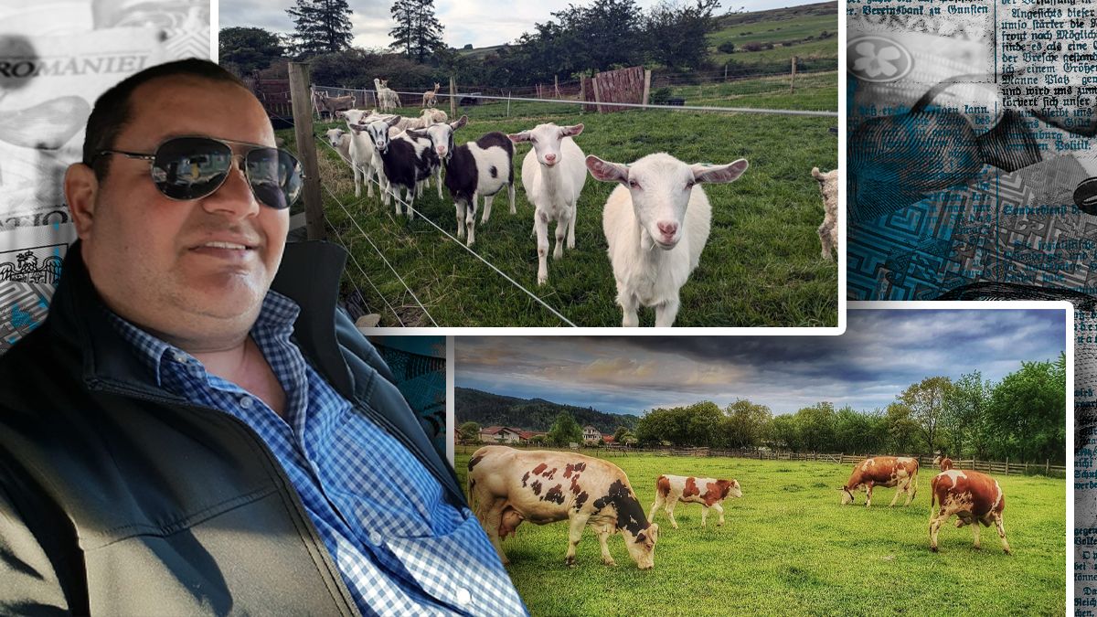 Cine a pus mâna pe averea temutului Gigi Geamănu, la un an de la moartea acestuia. Liderul interlop se răsucește în mormânt