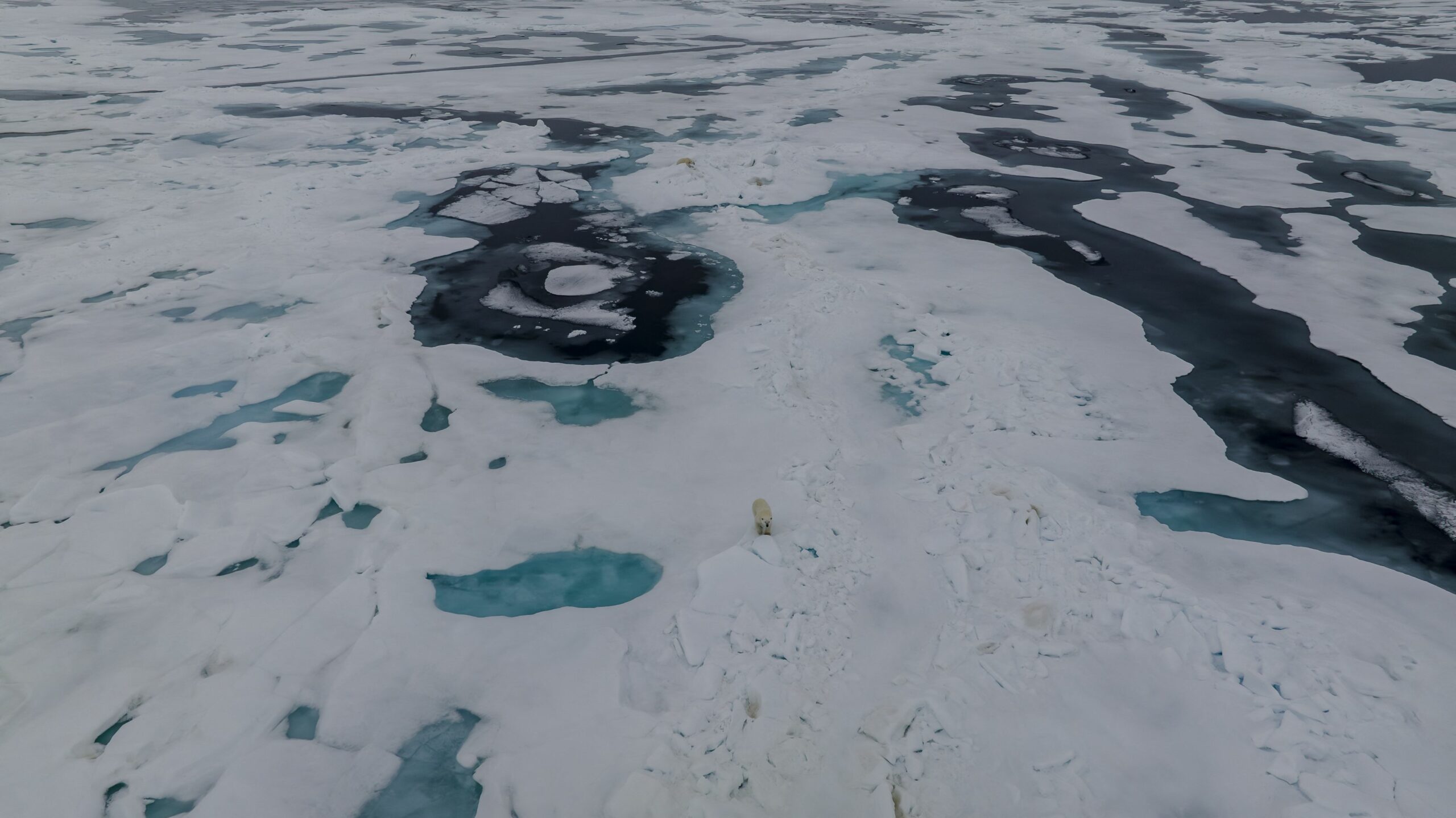 Planeta se încinge. Arctica s-a confruntat cu cel mai călduros an din istoria înregistrărilor meteorologice. Rusia și SUA vor să exploateze regiunea