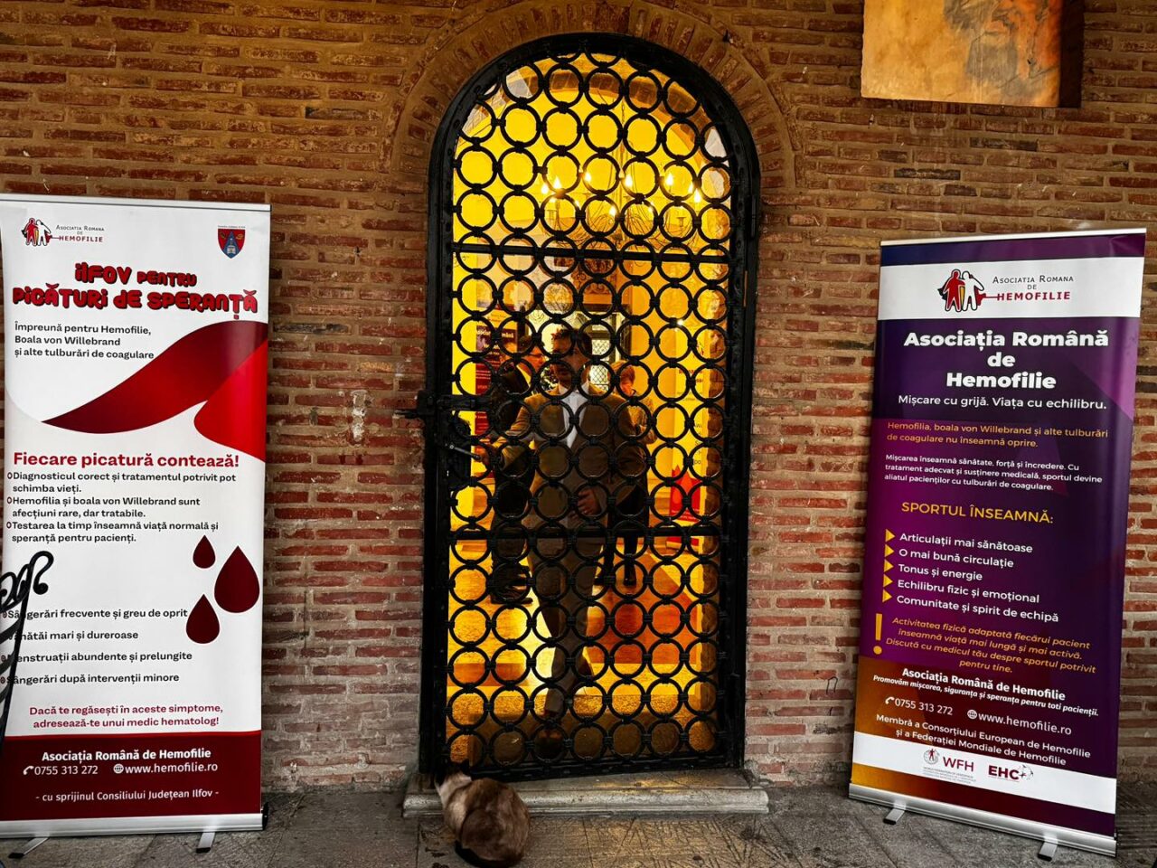 (P) În 2025, Consiliul Judeţean Ilfov a alocat 250.000 de lei pentru finanţarea proiectelor destinate persoanelor cu hemofilie