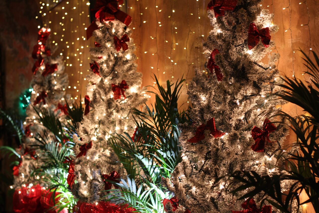 Un cuplu din Germania și-a decorat casa cu 621 de brazi de Crăciun. A folosit peste 125.000 de decorațiuni și peste 50.000 de luminițe