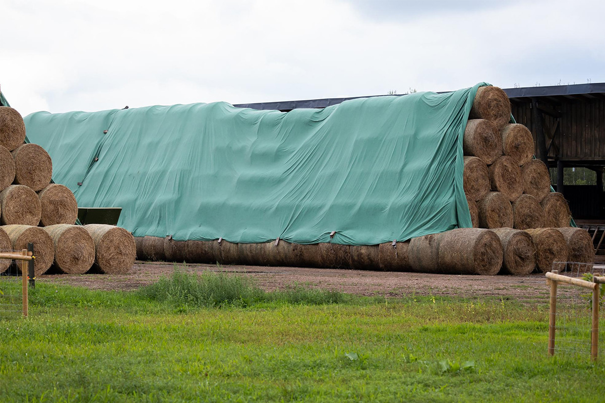(P) Ce soluții moderne ai la îndemână pentru protejarea culturilor?