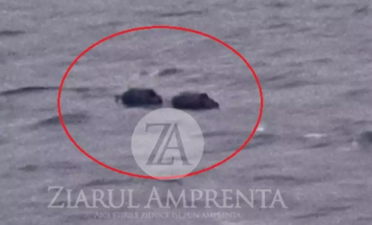 Alertă la Marea Neagră. Două obiecte neindentificate, posibil MINE, se îndreaptă în derivă spre Sf Gheorghe