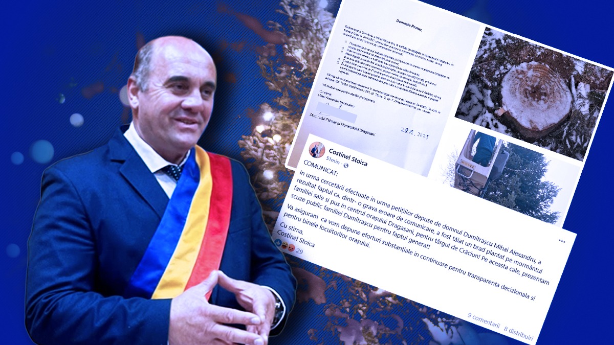 Edilul din Drăgăşani spune că a tăiat din greşeală un brad de pe un mormânt ca să-l împodobească: „Reprezenta un pericol pentru celelalte morminte”