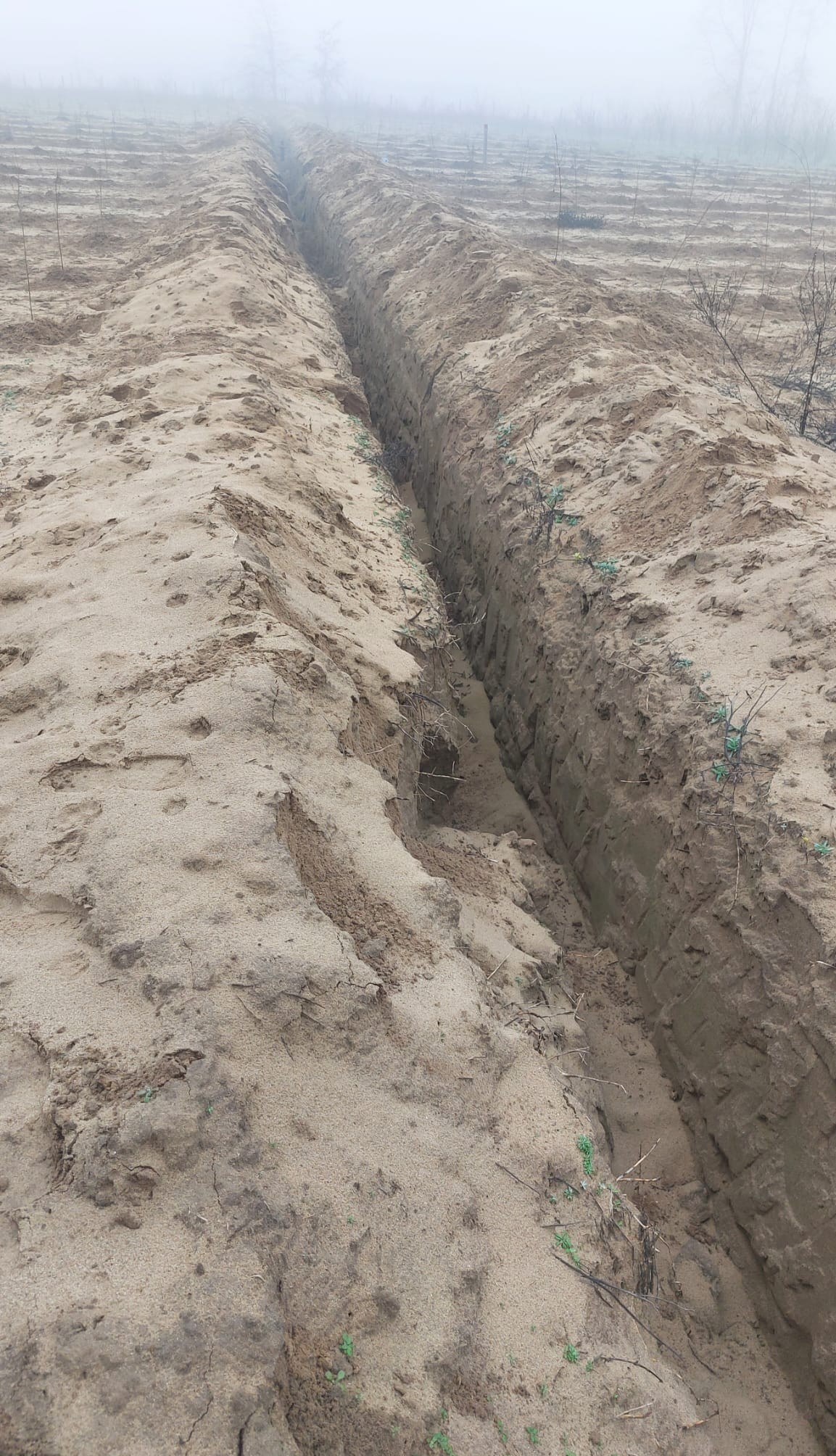 Hoții au furat o conductă de irigații în Oltenia. Au săpat „tranșee” pe 2 km pentru a o dezgropa